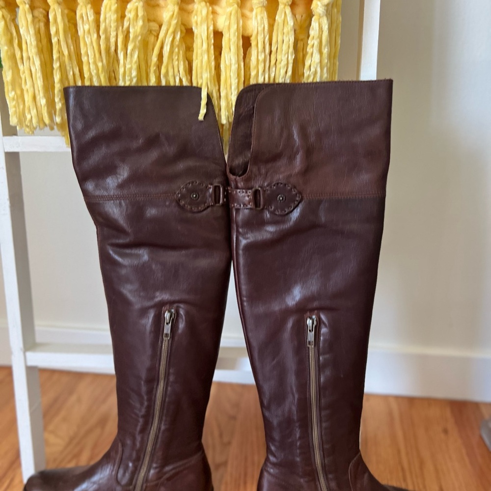 FRYE AND CO. Brown Ankle Boots